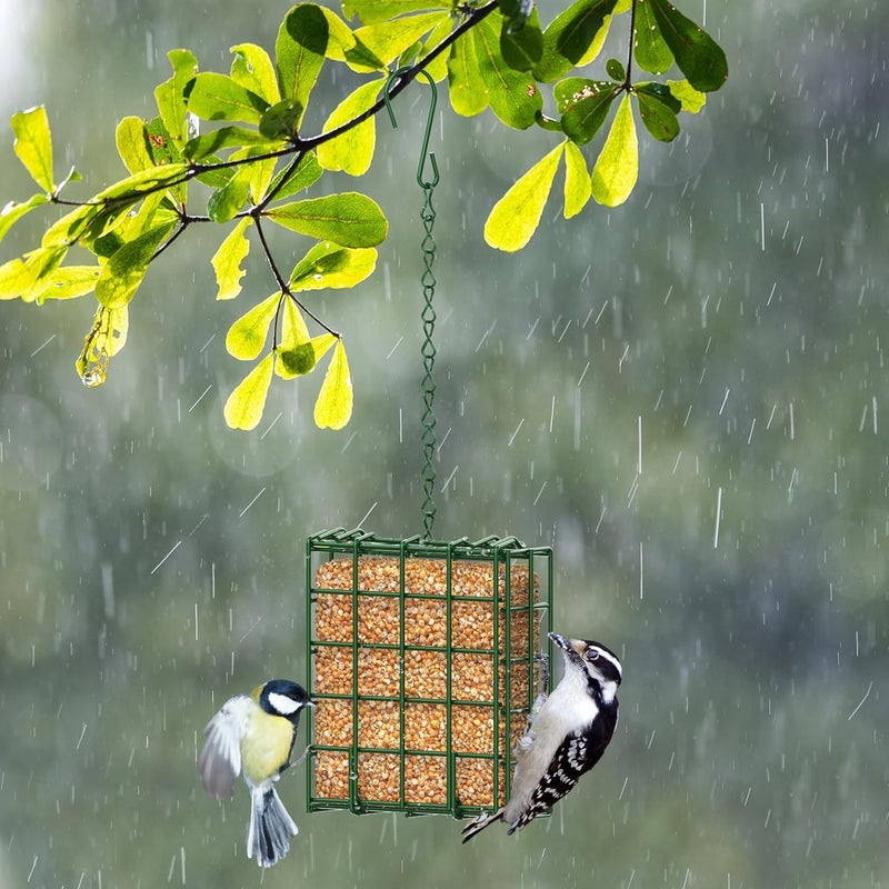 Trieez Bird Feeder for Outdoors, Large Capacity Suet Feeder Hanging Birdfeeder, Bird Feeder Hanging for Garden Yard Outside - 2 Slices Suet Cake Feeders fo Attracting Birds - Image 5
